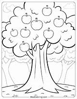 28 Apple Coloring Pages Free PDF To Print  Woo sketch template