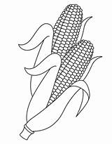 Corn Coloring Pages Free Printable PDF sketch template