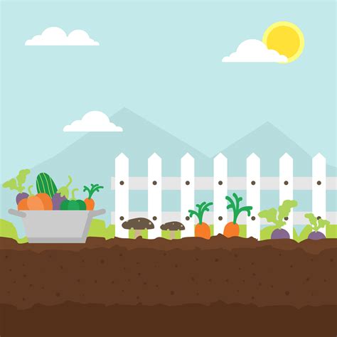 Vegetable Garden Illustration 202048 Vector Art at Vecteezy