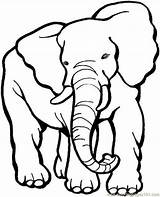Gran Elefante Para Colorear Imprimir E Dibujar –ColoringOnlyCom sketch template