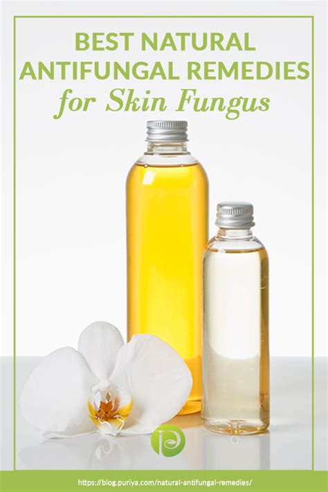 Best Natural Antifungal Remedies For Skin Fungus | Puriya Blog ...