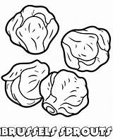 Brussels Sprouts Coloring Pages  Best For Kids sketch template