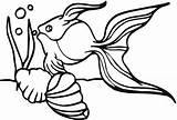Printable Goldfish Coloring Pages For Kids Cool2bkids Sketch Page sketch template