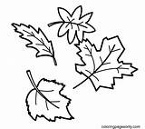 Printable Autumn Leaves Coloring Page  Free Pages sketch template