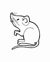Cartoon Mouse Coloring Pages sketch template