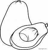 6 Free Printable Avocado coloring Pages In Vector Format Easy To Print  sketch template