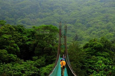 Monteverde Cloud Forest Hanging Bridges: Triphobo