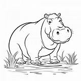 Hippo Color Sheets Free & Printable sketch template