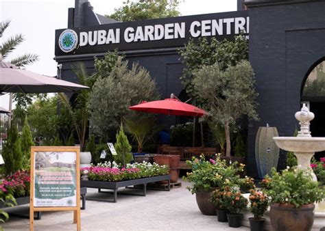 Where to Buy Artificial Indoor Plants and Flowers in Dubai ...