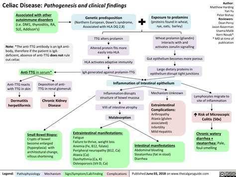 Celiac Disease: Pathogenesis and clinical findings | Calgary Guide