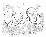 Manatee Coloring Pages sketch template