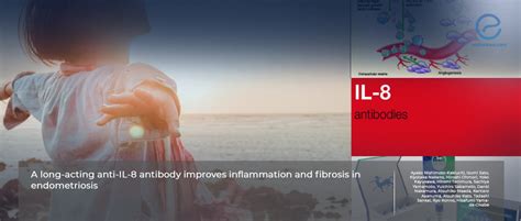 Anti-IL-8 antibody ameliorates inflammation and fibrosis: A promising treatment for ...