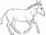 Donkey Coloring Pages Free Printable PDF sketch template