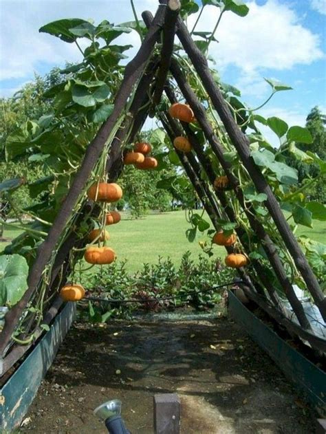 Garden Design Ideas Vegetable - Estapk