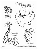 Rainforest Animals Printables For Kids sketch template