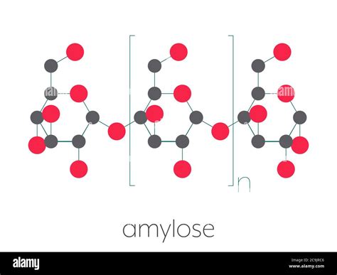 Amylose polysaccharide polymer, chemical structure. Component of starch (in addition to ...