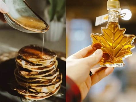 Maple Syrup Vs Agave - A Complete Guide I Sugar Spice