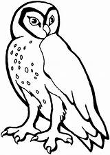 Printable Owl Coloring Pages sketch template