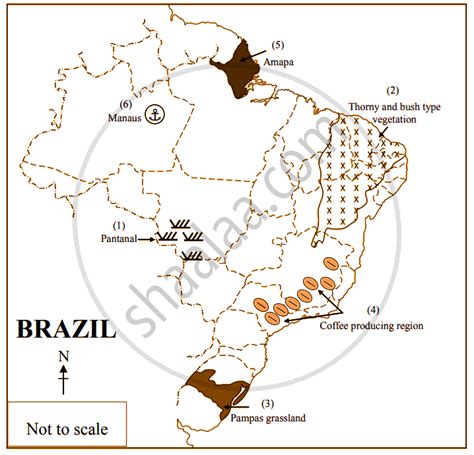 Show the following in the outline map of Brazil with index. Pantanal, Thorny and bush type ...