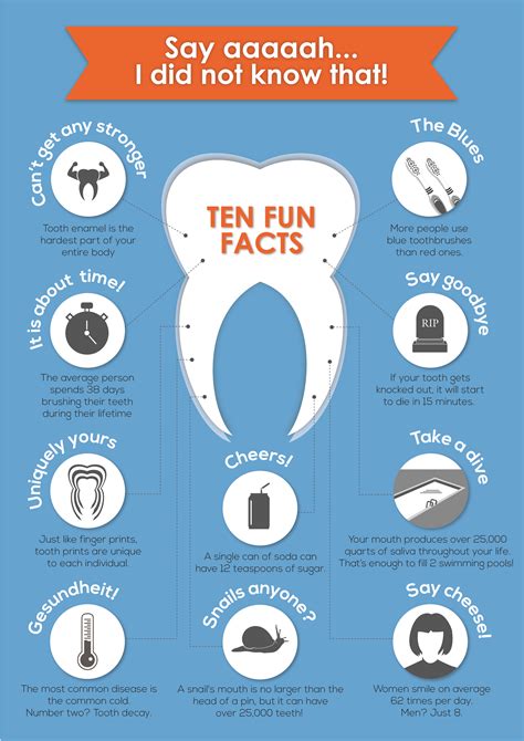 10 Fun Facts About Your Teeth Infographic | Encore Dental