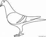 Free Printable Pigeon Coloring Pages sketch template