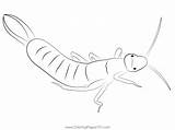 Braun Earwig Coloring Page For Kids  Free Earwigs Printable sketch template
