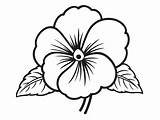Happy Pansy Coloring Page  sketch template