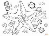 Starfish Coloring Page  Free Printable Coloring Pages sketch template