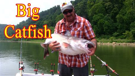 Monster Rod Holders Presents: Big Catfish Action - YouTube
