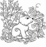Forest Coloring Pages For Kids At GetDrawings  Free Download sketch template