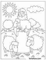 Shepherd And Sheep Coloring Page Pages sketch template