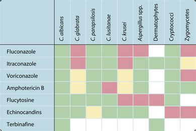 Antifungal Spectrum Of Activity Chart