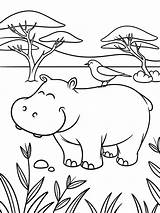 27  Free PDF Hippo Coloring Pages 🦛🎨 Coloringpagesforkidsnet sketch template