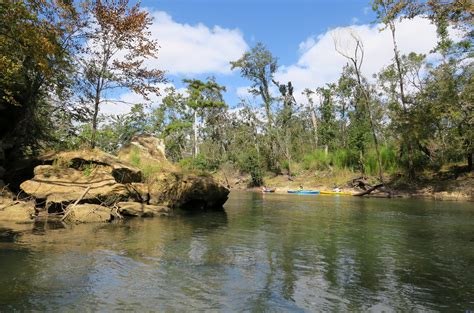 Apalachicola Basin Trail Guide | Apalachicola Riverkeeper