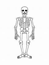 Skeleton Coloring Pages To Print Sketch Page sketch template