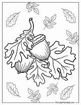 Fall Leaves Coloring Pages Printable sketch template