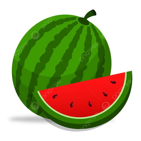 Whole Watermelon With Slices Vector, Whole Watermelon, Water Melon, Watermelon Slices PNG and ...