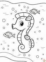 Coloring Seahorse sketch template
