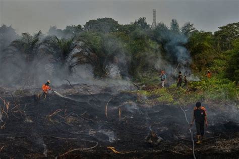 Malaysian companies in Indonesia issued letters on open burning prevention measures : r/malaysia