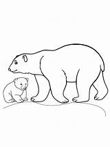 Bear And Cub Arctic Animals Coloring Page  Free Printable sketch template