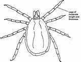 The Tick 5 Coloring Crafty Teenager Sketch Page sketch template