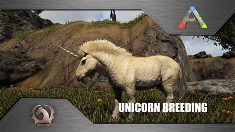 Ark Survival Evolved - Unicorn breeding (Ragnarok) - YouTube