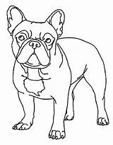 French Bulldog Puppies Coloring Page Free Printable PDF sketch template