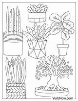 Free PLANT Coloring Pages For Download Printable PDF sketch template
