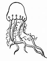 Jellyfish coloring Pages To Download And Print For Free sketch template