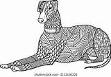 Hand Drawn Coloring Pages Greyhound Dog Stock Vector Royalty Free  sketch template