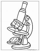 Microscope Coloring Page Sketch sketch template