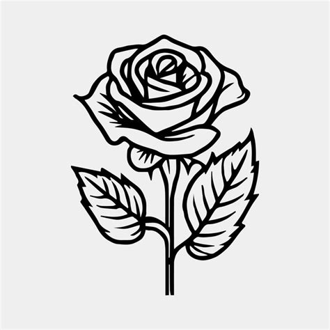 Rose Drawing Black And White