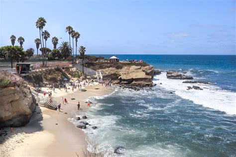 16 Best Things to do in La Jolla California on Your First Visit