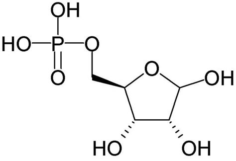 Ribose 5 phosphate - Alchetron, The Free Social Encyclopedia